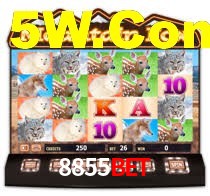 Crash Games Strategies 8855BET